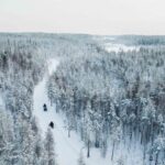 Rovaniemi: 6-Hour Snowmobile Safari in Lapland - The Rest Stop and Traditional Lunch