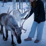 Rovaniemi: Arctic Reindeer Experience with Lunch - Who Is This Tour Best For?