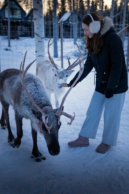 Rovaniemi: Arctic Reindeer Experience with Lunch - Who Is This Tour Best For?