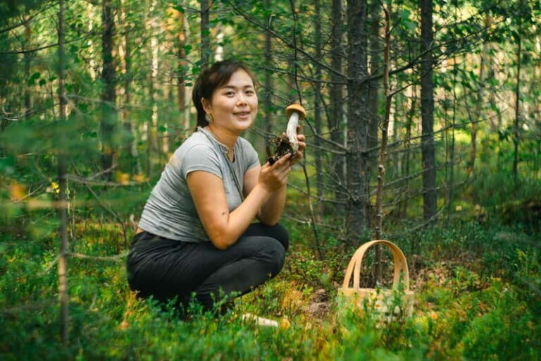 Rovaniemi: Arctic Wild Berry & Mushroom Foraging and Tasting - An In-Depth Look at the Foraging Experience