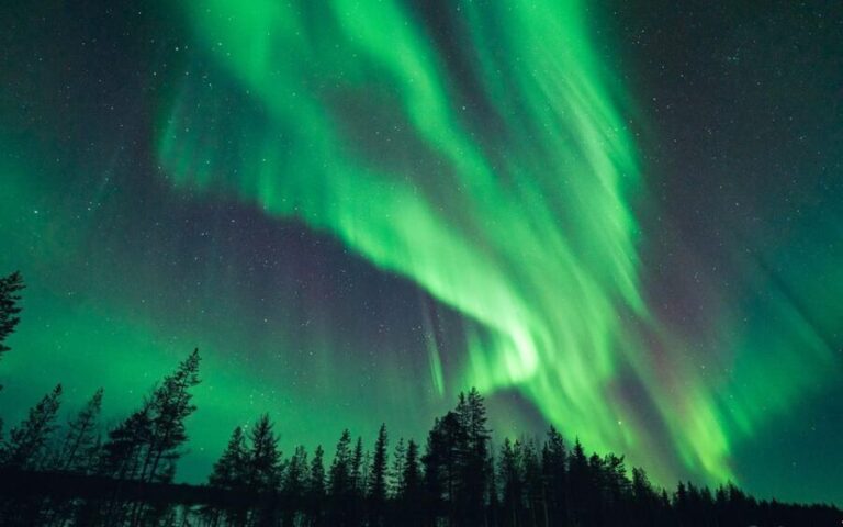 Rovaniemi: Aurora Hunt with Photos and Money Back Guarantee - Why Choose This Tour