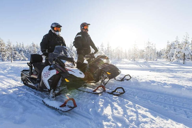 Rovaniemi: Backwoods Adventure Full Day Snowmobile Safari - What to Expect and Practical Tips
