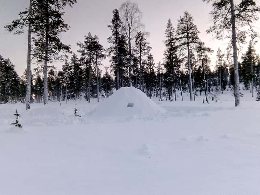 Rovaniemi: Building a Snow Igloo - What Sets This Tour Apart