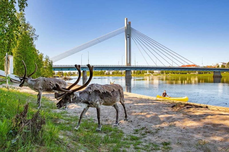 Rovaniemi: Cultural Canoe Trip - Why This Tour Offers Great Value
