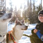 Rovaniemi: Daytime Husky Safari - The Practicalities: What You Need to Know