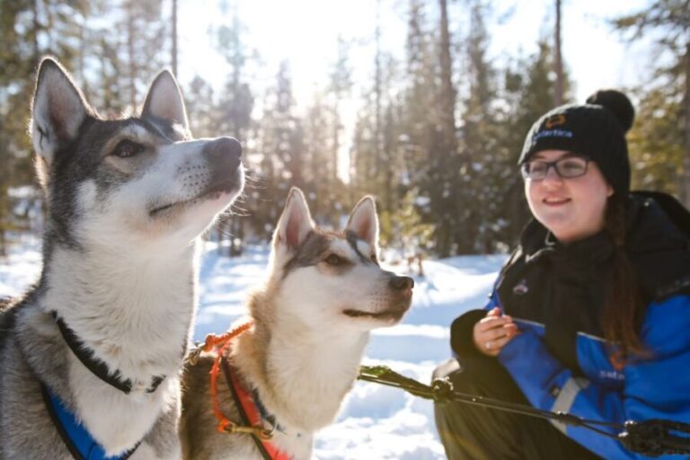 Rovaniemi: Daytime Husky Safari - The Practicalities: What You Need to Know