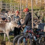 Rovaniemi: E-fatbike Trip to the Reindeer Farm - Analyzing the Value