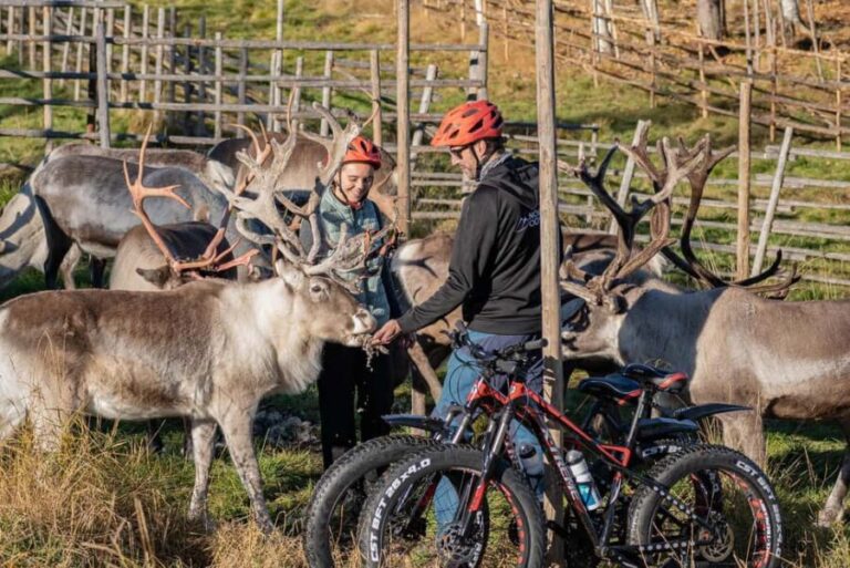 Rovaniemi: E-fatbike Trip to the Reindeer Farm - Analyzing the Value