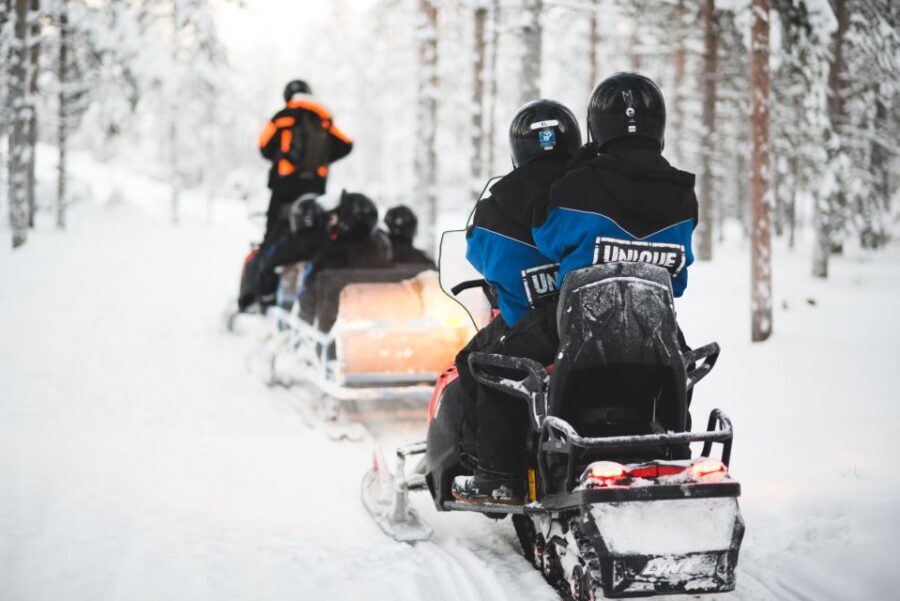 Rovaniemi: Easy Snowmobile Safari - The Sum Up