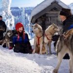 Rovaniemi: Family Friendly Husky Ride and Farm Visit - Practical Details
