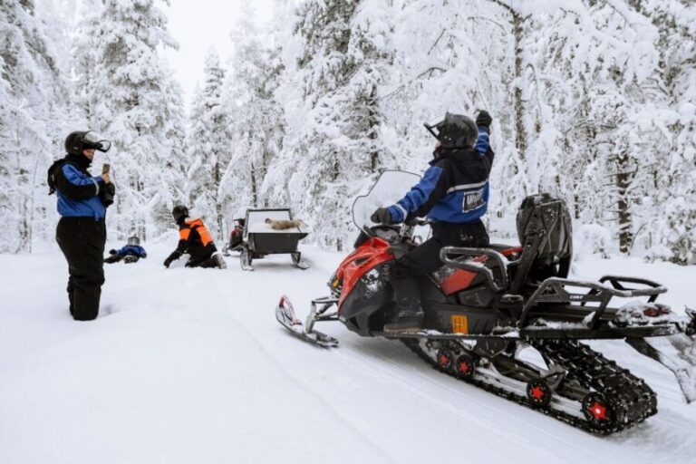 Rovaniemi: Family Snowmobile Safari with Campfire and Snacks - The Experience from the Reviews