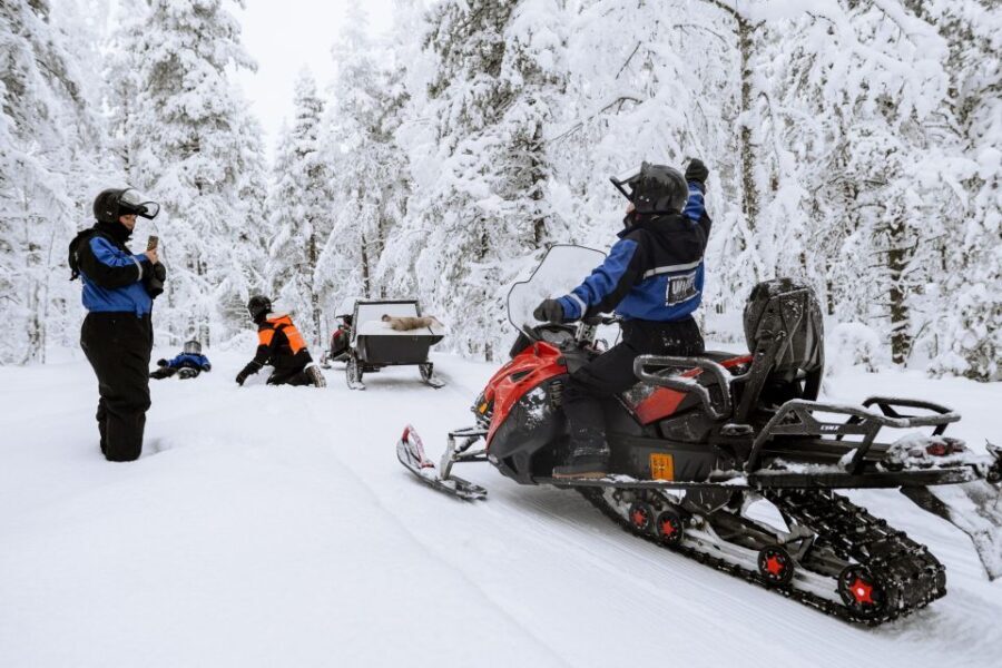 Rovaniemi: Family Snowmobile Safari with Campfire and Snacks - The Experience from the Reviews