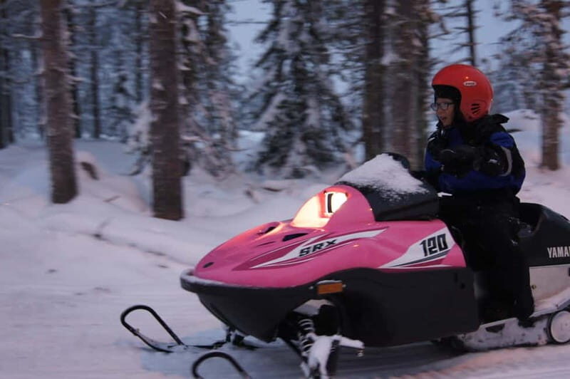 Rovaniemi: Family Snowmobile Safari - Who Will Love This Experience?