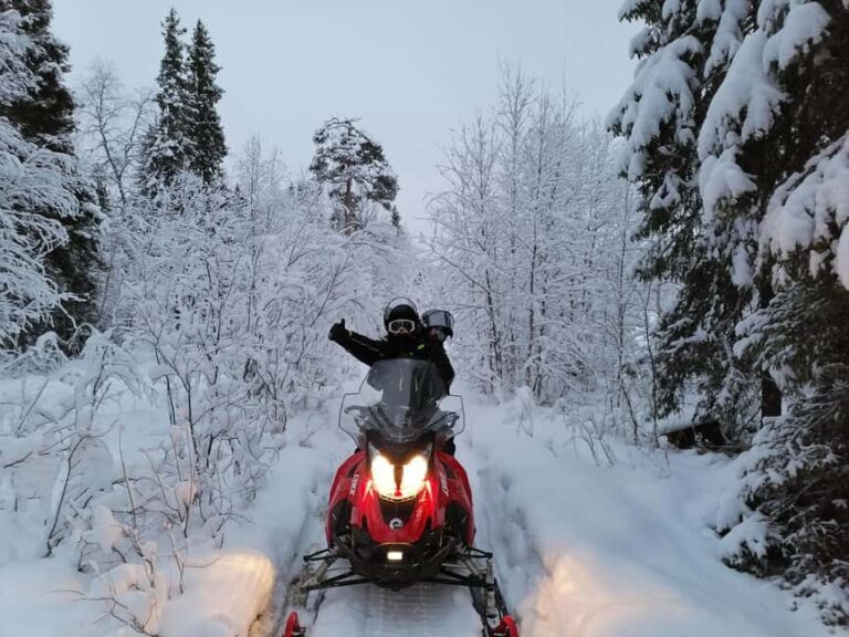 Rovaniemi: Full-Day Snowmobile Adventure - Who Is This Tour Best For?