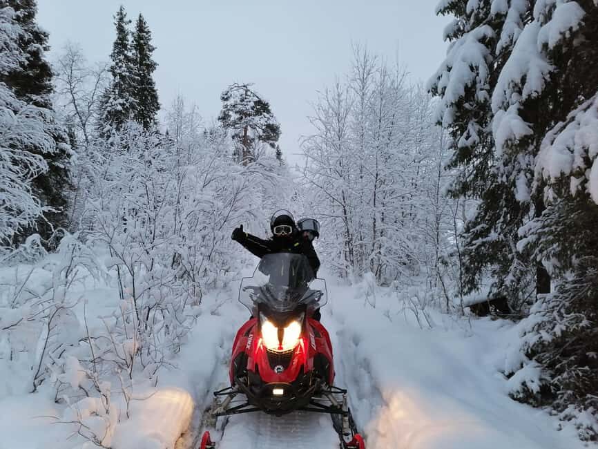 Rovaniemi: Full-Day Snowmobile Adventure - Who Is This Tour Best For?