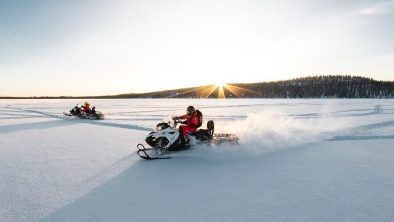 Rovaniemi: Full Day Snowmobile Safari into the Wilderness - Authentic Review Insights