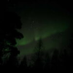 Rovaniemi: Guaranteed Northern Lights Magic Adventure - Who Would Love This Tour?