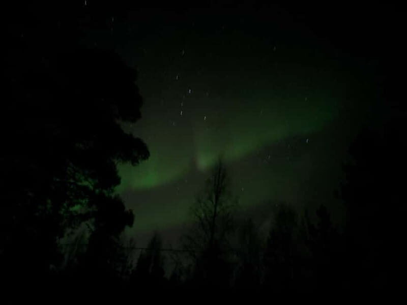 Rovaniemi: Guaranteed Northern Lights Magic Adventure - Who Would Love This Tour?