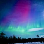 Rovaniemi: Guaranteed Northern Lights Tour - Authenticity & Value