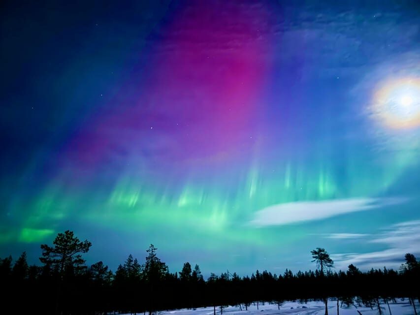 Rovaniemi: Guaranteed Northern Lights Tour - Authenticity & Value