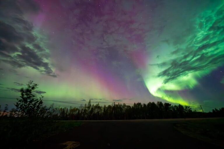 Rovaniemi: Guaranteed Ultimate Aurora Hunt with Photographer - Who Is This Tour Best For?