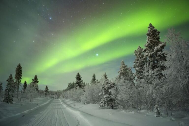 Rovaniemi: Guided Northern Lights Tour - The Itinerary: What to Expect