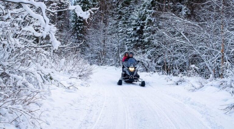 Rovaniemi: Guided Wilderness Snowmobile Safari & Barbeque - Who Guides You and How Safe Is It?