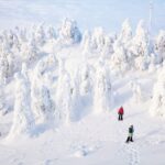 Rovaniemi: Hiking and Snowshoeing Adventure in Lapland - The Itinerary: What to Expect from Start to Finish