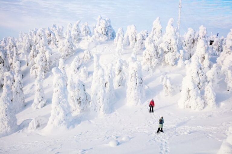Rovaniemi: Hiking and Snowshoeing Adventure in Lapland - The Itinerary: What to Expect from Start to Finish