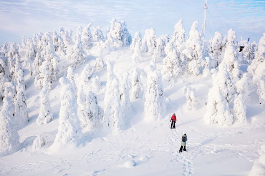 Rovaniemi: Hiking and Snowshoeing Adventure in Lapland - The Itinerary: What to Expect from Start to Finish