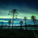 Rovaniemi: Horse Sleigh Ride under the Night Sky - What Makes This Tour Stand Out