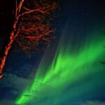 Rovaniemi Hunting Aurora at the Best Spots - What Reviewers Are Saying