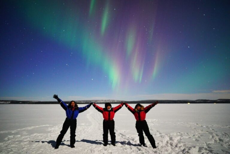 Rovaniemi: Hunting Northern Lights Bus Tour - Who Is This Tour Best For?