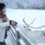 Rovaniemi: Husky and reindeer farm visit with sleigh rides - Authenticity and Value