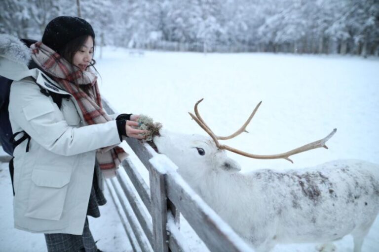 Rovaniemi: Husky and reindeer farm visit with sleigh rides - Authenticity and Value