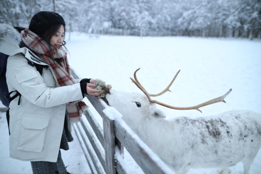 Rovaniemi: Husky and reindeer farm visit with sleigh rides - Authenticity and Value