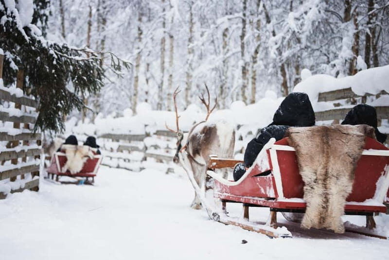 Rovaniemi: Husky Farm and Reindeer Experience - What the Tour Means for You