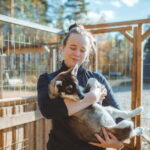 Rovaniemi: Husky Farm Visit - An In-Depth Look at the Husky Farm Visit