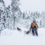 Rovaniemi: Husky Farm Visit with a Sledge Ride - Detailed Review of the Husky Farm Visit with Sledge Ride