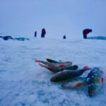 Rovaniemi: Ice Fishing by Snowmobile - Frequently Asked Questions