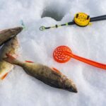 Rovaniemi: Ice Fishing, Private Sauna & Salmon Soup - Who Should Consider This Tour?