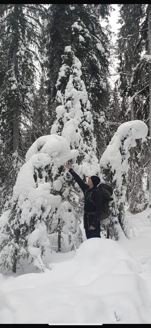 Rovaniemi: Korouoma Canyon Frozen Waterfalls Day Trip - Why This Tour Offers Great Value