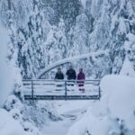 Rovaniemi: Korouoma Canyon Frozen Waterfalls Guided Hike - Returning and Reflection