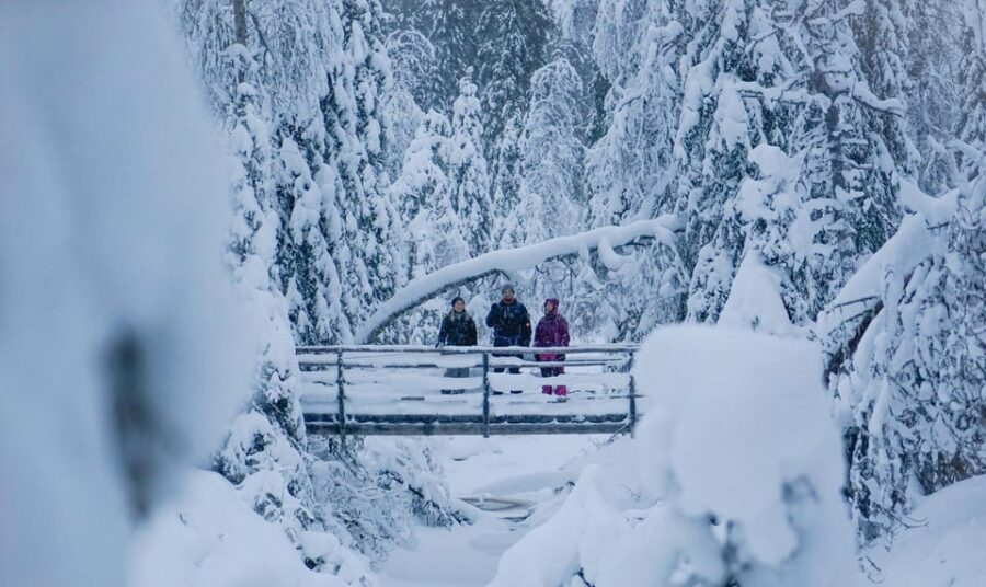 Rovaniemi: Korouoma Canyon Frozen Waterfalls Guided Hike - Returning and Reflection