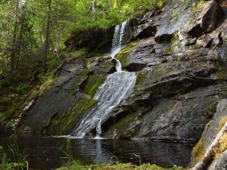 Rovaniemi: Korouoma Canyon Hike and Barbecue Experience - Who Will Appreciate This Tour?