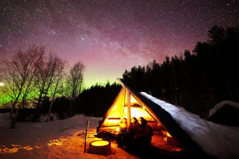 Rovaniemi: Lapland Northern Lights Tour with BBQ - Who Should Consider This Tour?