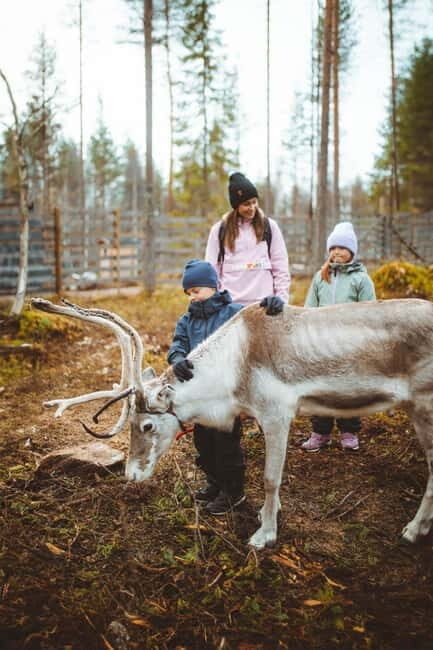 Rovaniemi: Meet Santa Claus and His Friends - Reindeer Feeding: An Authentic Lapland Encounter