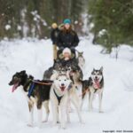 Rovaniemi: Meet Santa Claus, Reindeer Sleigh Ride & Huskies - Who Should Consider This Tour?