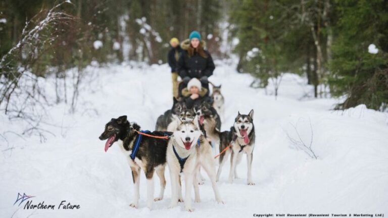Rovaniemi: Meet Santa Claus, Reindeer Sleigh Ride & Huskies - Who Should Consider This Tour?