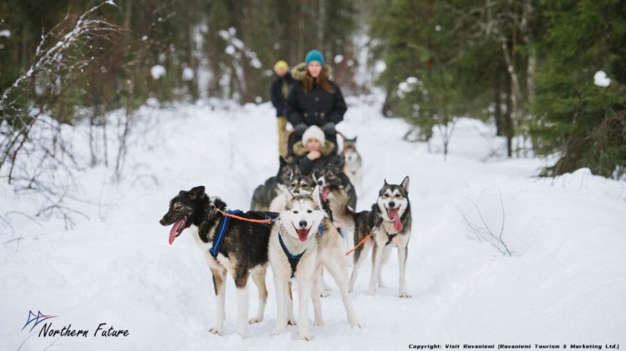 Rovaniemi: Meet Santa Claus, Reindeer Sleigh Ride & Huskies - Who Should Consider This Tour?